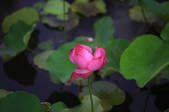 tkf002_101646