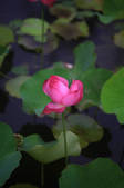 tkf002_101647