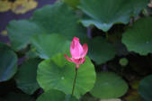 tkf002_101651