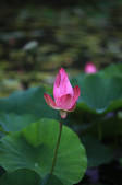 tkf002_101652