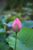 tkf002_101656
