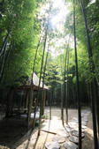tkf002_101684