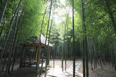 tkf002_101685