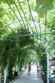 tkf002_101696