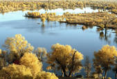 tkm002_100800