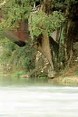 tkm002_101003