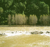 tkm002_101599