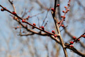tkf002_102534