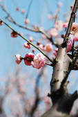 tkf002_102536