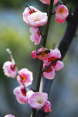 tkf002_102545