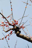 tkf002_102551