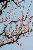 tkf002_102552