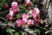 tkf002_102563