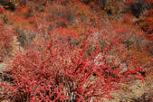 tkf002_102659