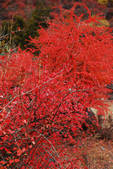 tkf002_102667