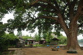 tkf002_103778