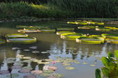 tkf002_103978