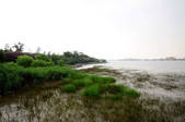 tkm002_107802