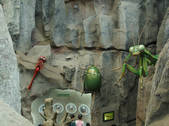 tkf002_105768
