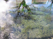 tkf002_107269