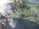 tkf002_107270