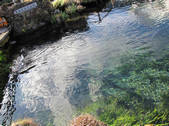 tkf002_107274