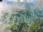 tkf002_107275