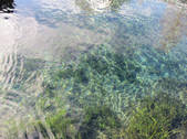 tkf002_107276