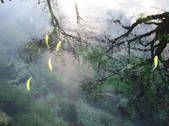 tkf002_107300