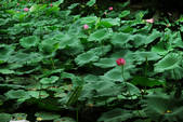 tkf002_108679