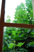 tkf002_109926