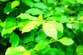 tkf002_110067