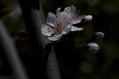 tkf002_111092