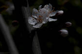 tkf002_111093