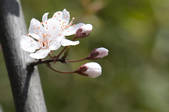 tkf002_111094