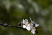 tkf002_111098