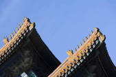 tkf005_2305817
