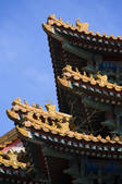 tkf005_2305832