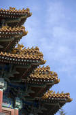 tkf005_2305833
