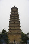 tkf005_2306631