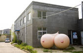 tkf005_2306844