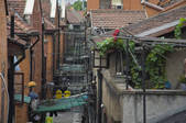 tkf005_2307865