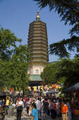 tkf005_2307934