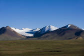 tkf005_2308870