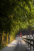 tkf005_2309446
