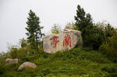 tkf005_2310313