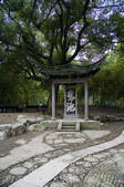 tkf005_2310314