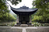 tkf005_2310315