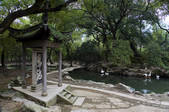 tkf005_2310316