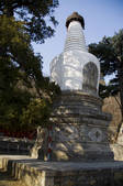 tkf005_2311543